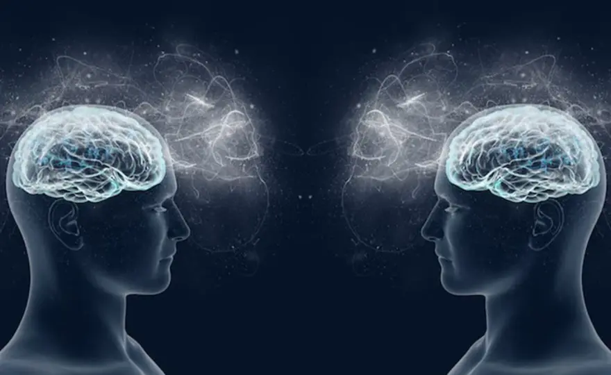 Neuroni specchio - Cosa sono e a cosa servono davvero?