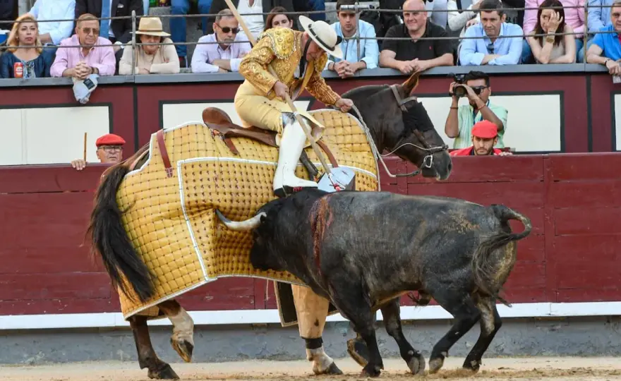 Tercio de varas: ¿Qué hace el picador? Guía completa