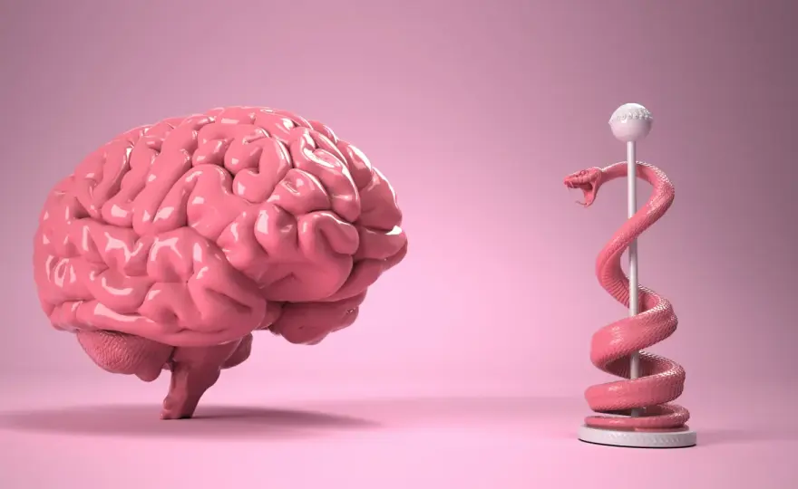 Cervello Rettiliano - Metafora o realtà? Scopri la verità!