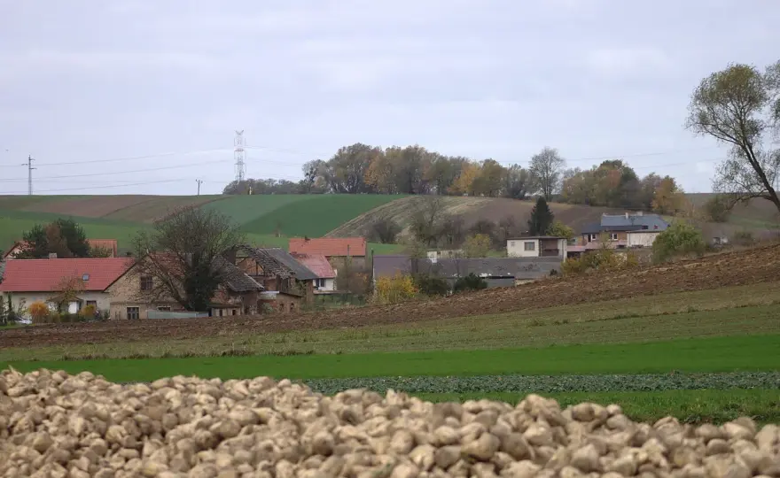 Błażejowice - Odkryj wieś, która daje więcej niż miasto