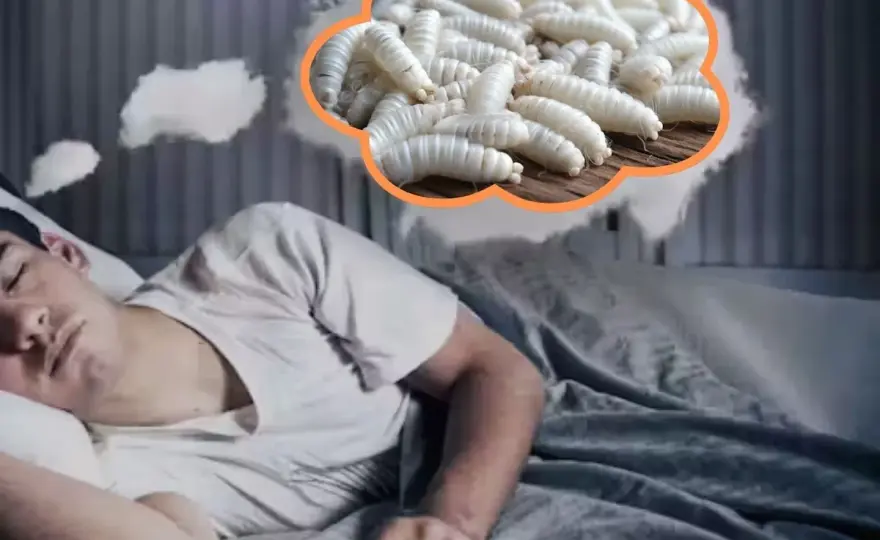 Soñar con gusanos blancos - ¿Qué significa realmente?