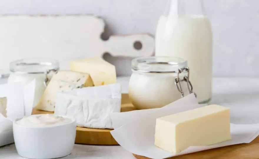 Fermentierte Milchprodukte verstehen und richtig auswählen