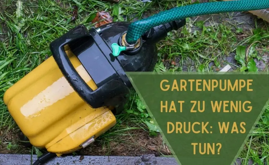 Norma-Gartenpumpe wählen - worauf Leistung und Druck wirklich zählen