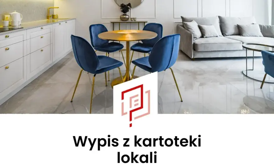 Wypis z kartoteki lokali - Jak go uzyskać i do czego służy?