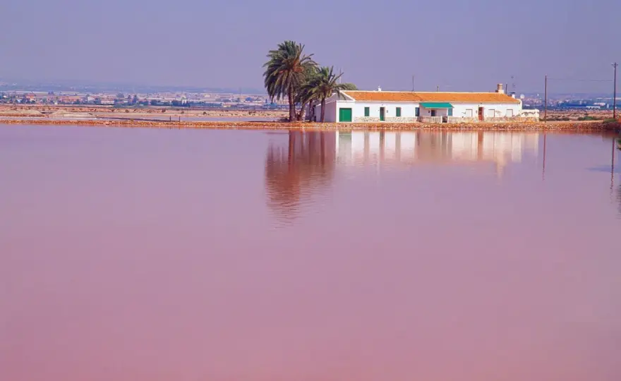 Playa rosa Murcia - Lo que nadie te cuenta antes de ir