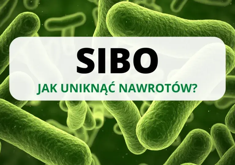 Leczenie SIBO: Antybiotyki, zioła i klucz do trwałych efektów