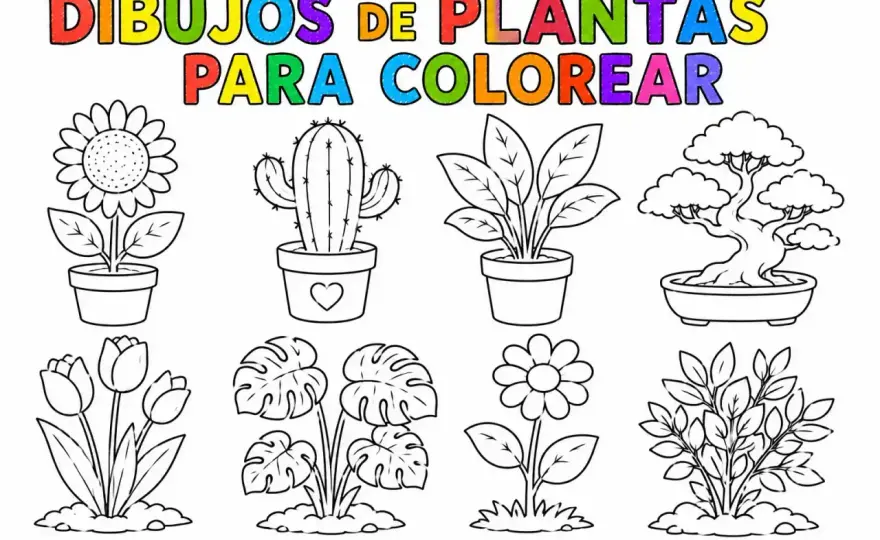 Planta para colorear - Guía para elegir y usar bien