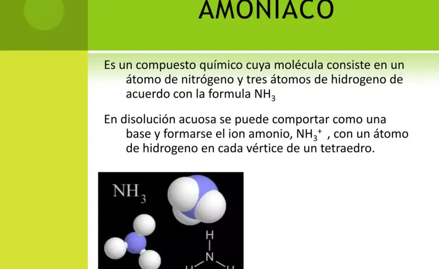 Amonio y amoníaco - cómo distinguirlos y evitar riesgos