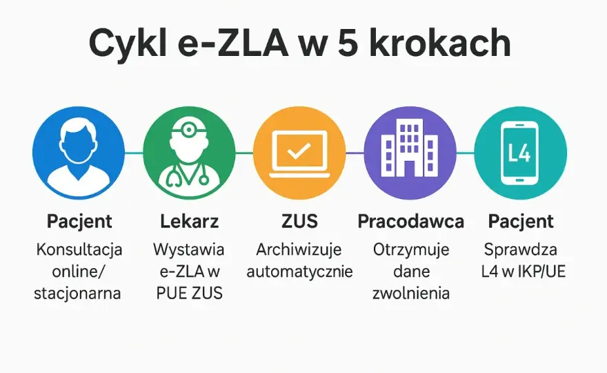 e-ZLA (L4 online) - Jak to działa? Pełny przewodnik