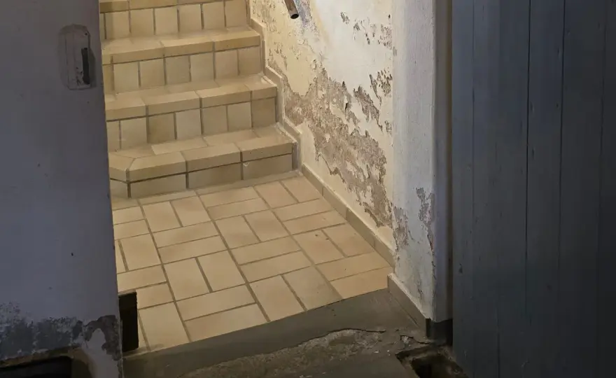Ammoniakgeruch im Keller? Ursachen finden & dauerhaft lösen!