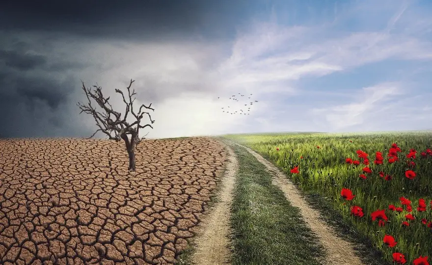 Skutki ocieplenia klimatu - co dzieje się z Polską?