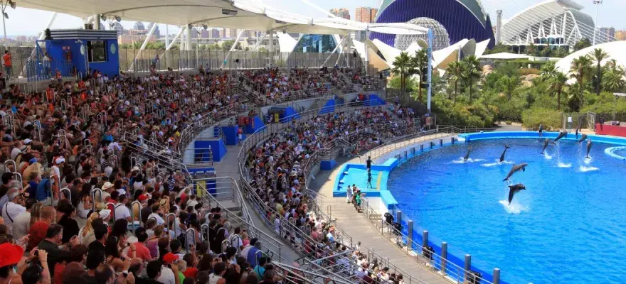 Las mejores atracciones en Valencia que no te puedes perder