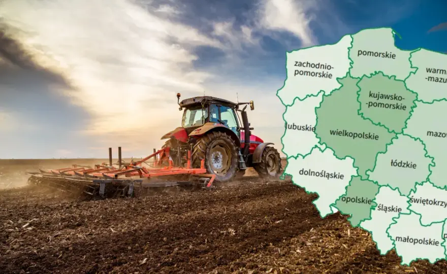 Jak oszacować wartość działki: uniknij błędów przy wycenie gruntu