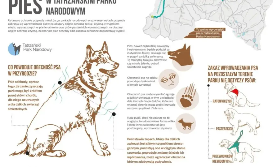 Tatrzański Park Narodowy z psem - Gdzie wejdziesz legalnie?