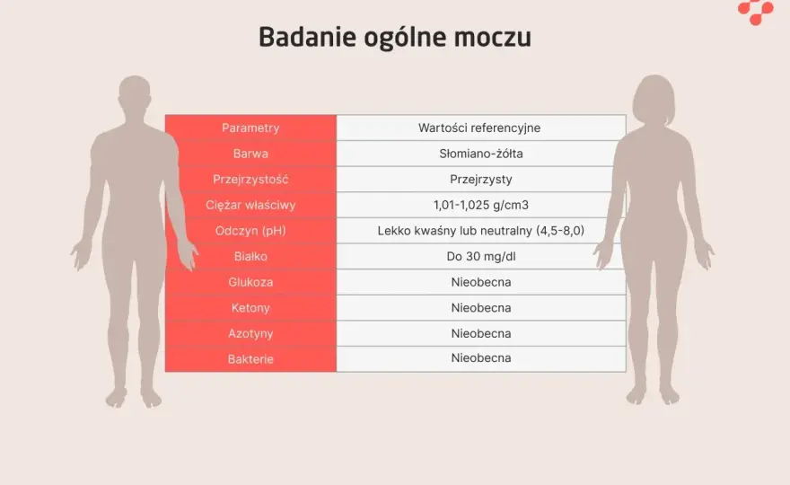 Posiew moczu - jak interpretować wynik? Przewodnik krok po kroku