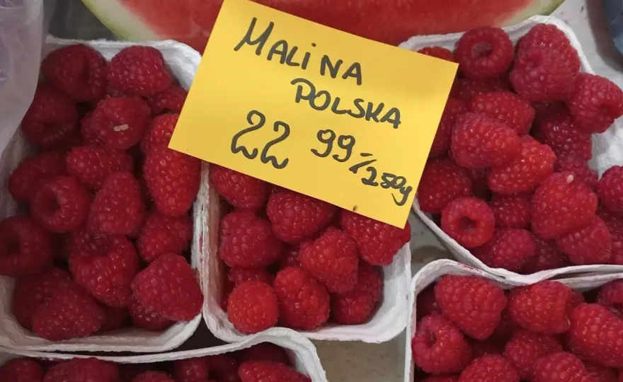 Cena malin - Jak czytać rynek i sprzedawać z zyskiem?