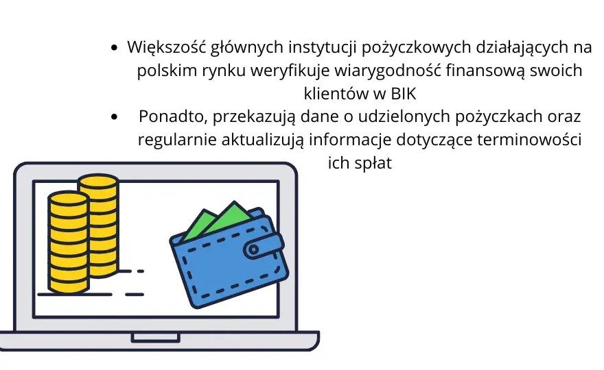 Czy w BIK widać chwilówki? Sprawdź, jak to wpływa na kredyt