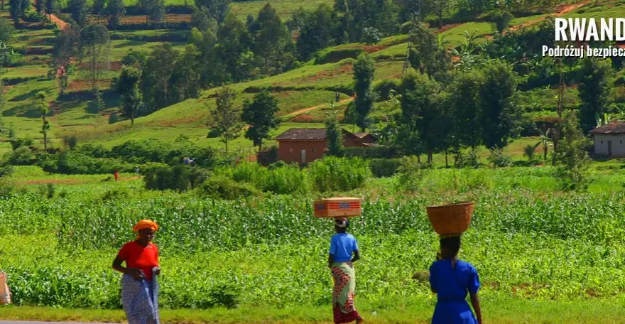 Czy Rwanda jest bezpieczna? Aktualne porady i zagrożenia dla podróżujących