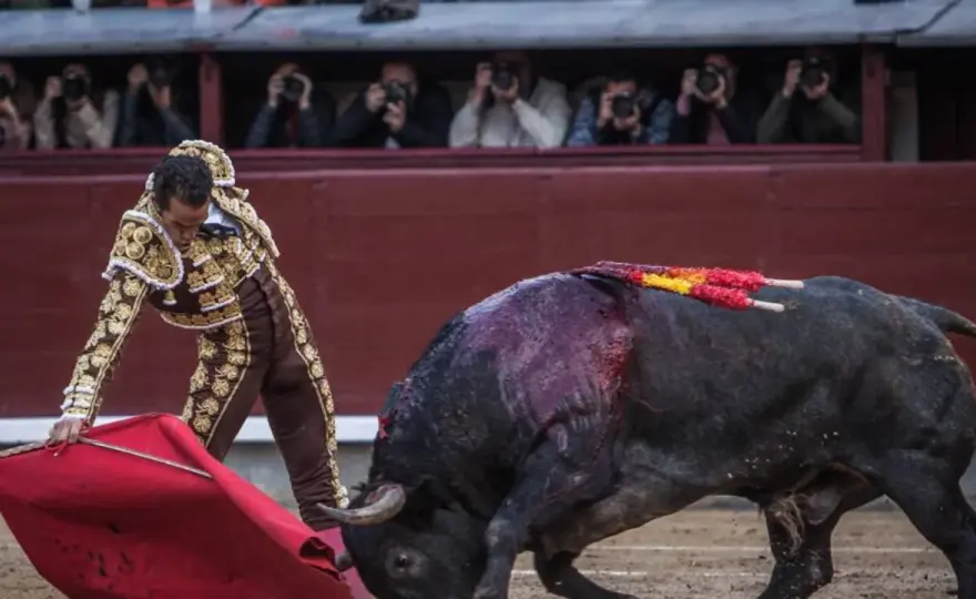 Hijo de Adolfo Martín - La clave de un toro legendario