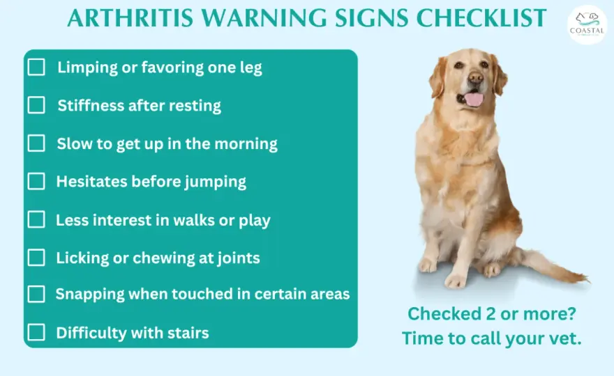 Arthritis in Dogs - Spot Signs & Boost Comfort
