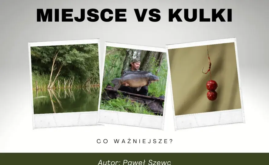 Dip na karpia - Jak wybrać najlepszy i zwiększyć brania?