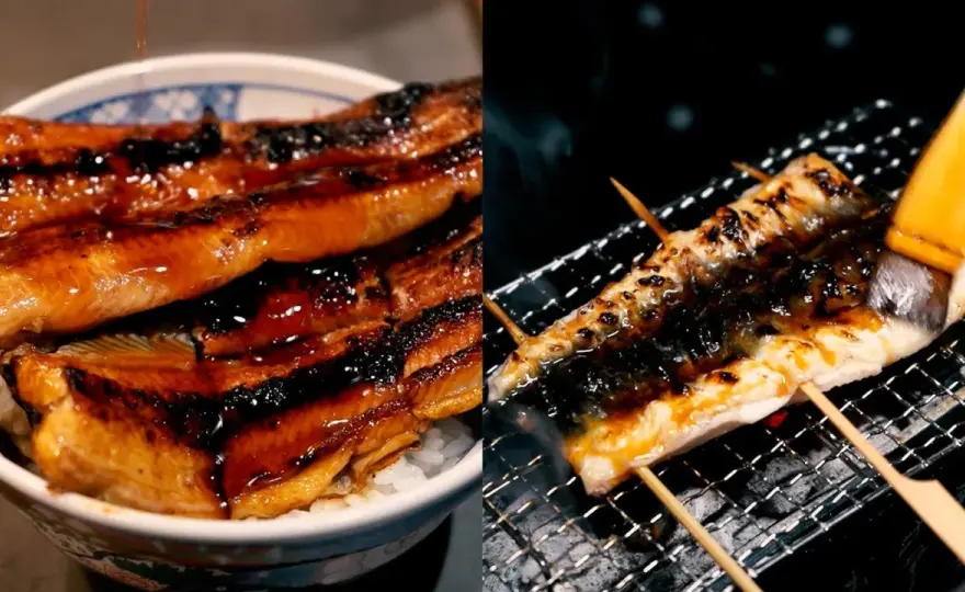 Perfect Grilled Eel at Home - Unagi Kabayaki Guide