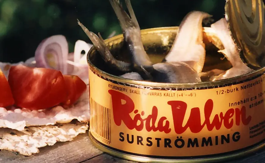 Fermentierter Fisch - worauf es bei Salz und Sicherheit ankommt