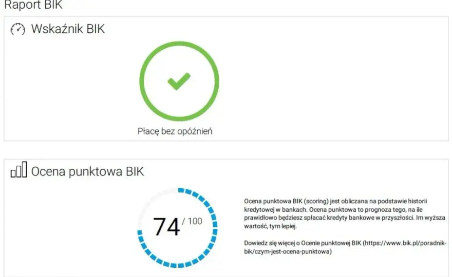 Jak sprawdzić BIK i uniknąć błędów w swojej historii kredytowej