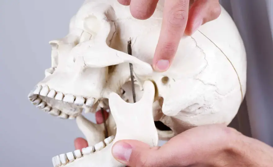 Kiefergelenk-Schmerzen? Osteopathie bei CMD - So hilft sie wirklich