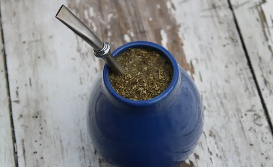 Yerba mate na początek - Jak wybrać i parzyć, by się nie zrazić