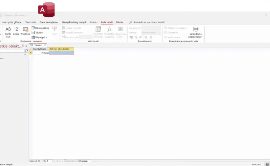 Microsoft Access - Czy to nadal ma sens? Przewodnik 2024