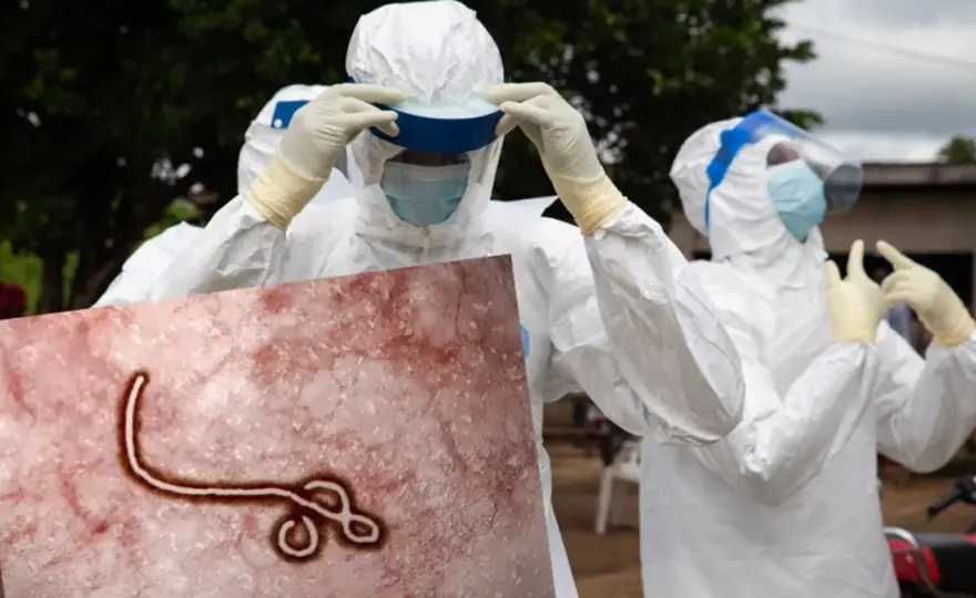 Wirus Ebola w którym roku został odkryty i co to oznacza dla nas