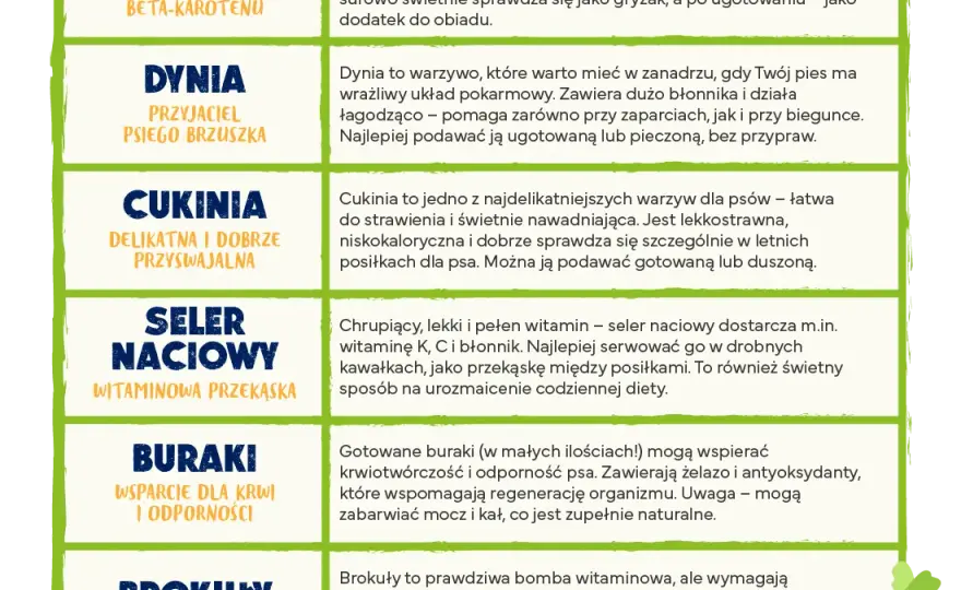 Bezpieczne warzywa dla szczeniaka: co podawać, a czego unikać?