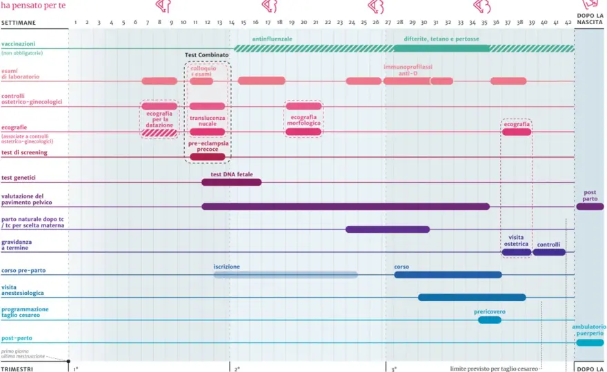 Esami del sangue in gravidanza - calendario e referti
