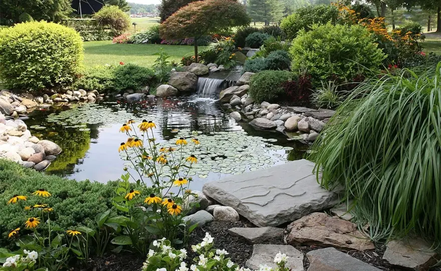 Gartenteich anlegen - so gelingt Standort, Tiefe und Rand