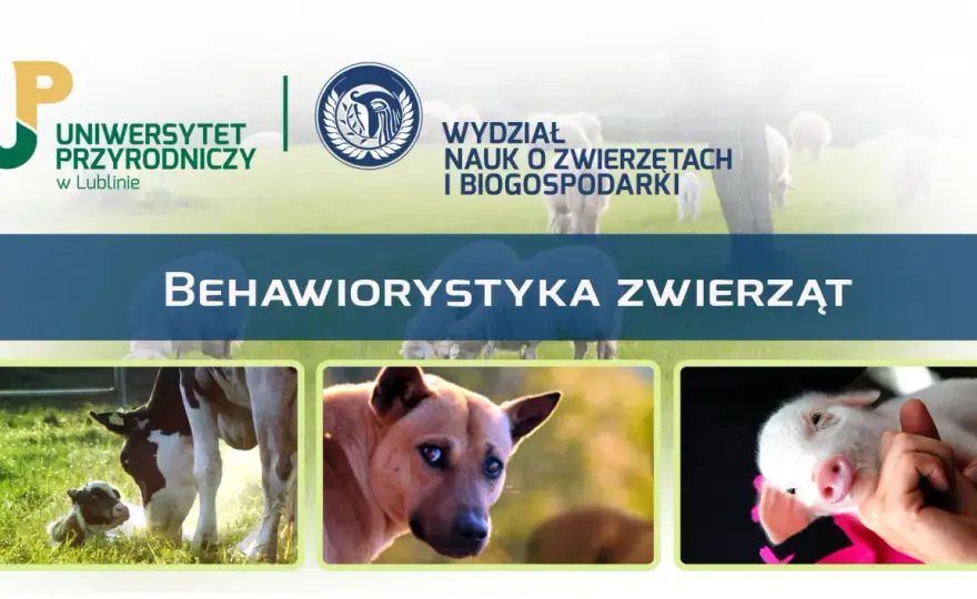 Behawiorystyka zwierząt studia - Gdzie studiować i jak wybrać mądrze?