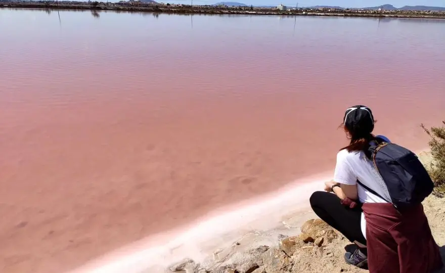 Salinas de San Pedro del Pinatar - Guía para una visita perfecta