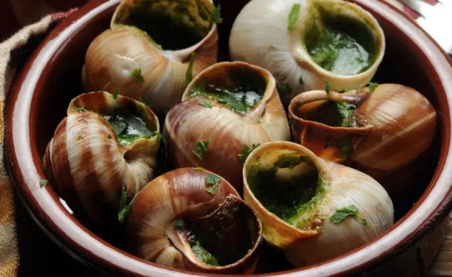Escargots we Francji: Smak, historia i jak jeść jak Francuz
