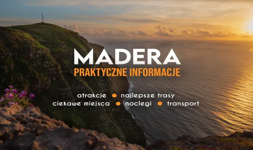 Lewady Madera - Które wybrać? Praktyczny przewodnik