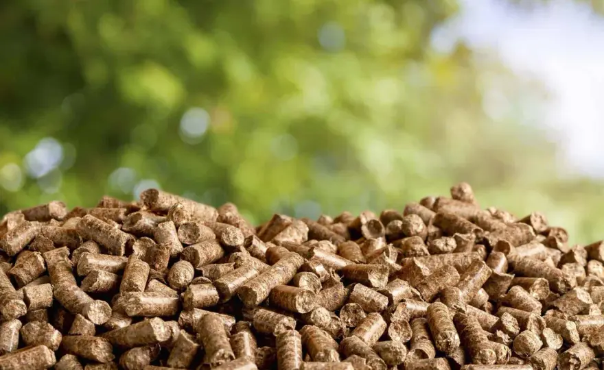 Tani pellet z dostawą: Jak kupić taniej i nie stracić na jakości?