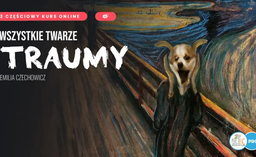 Objawy zaburzeń adaptacyjnych: rozpoznaj, zrozum, działaj!