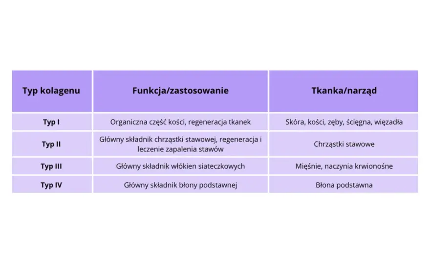 Kolagen typ I i III - Porównanie i wybór suplementu