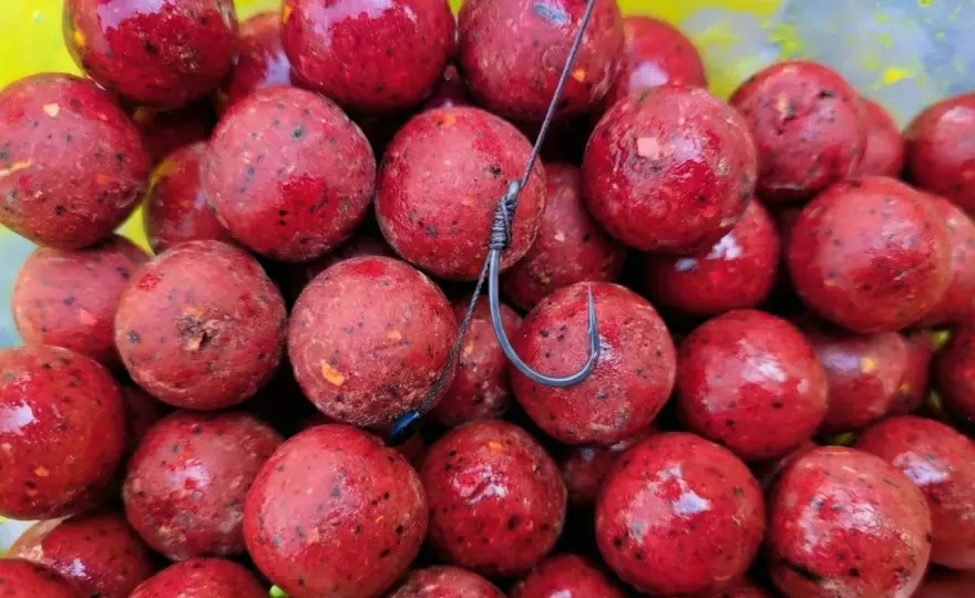 Skuteczne kulki proteinowe na karpia - Jak wybrać?