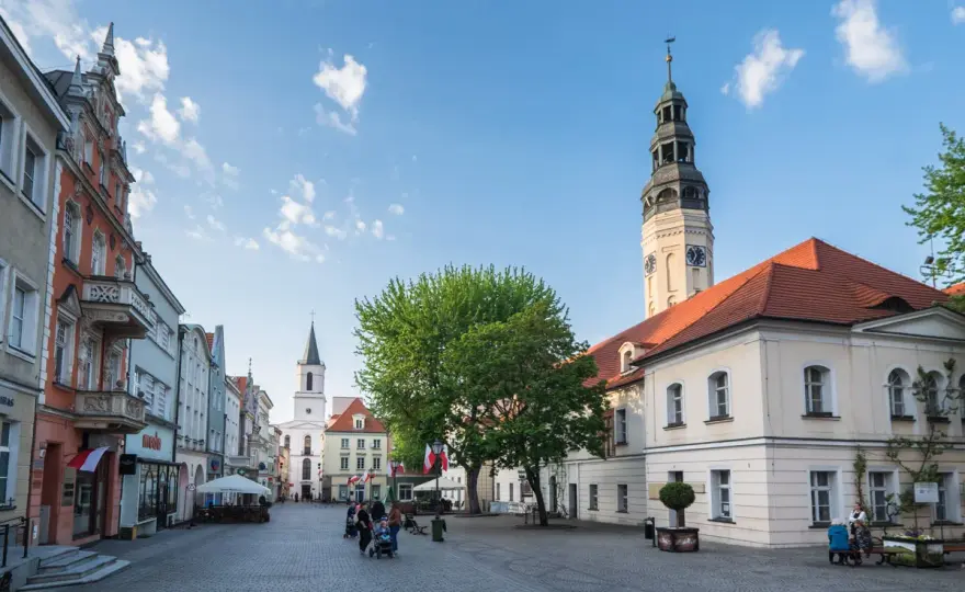 Zielona Góra – w jakim województwie leży i co warto wiedzieć o regionie