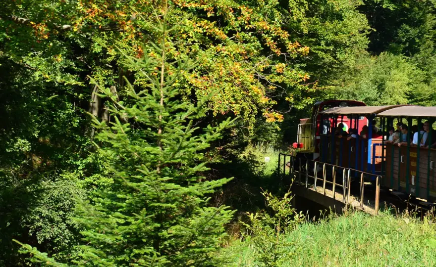Bieszczady: Majdan Kolejka Leśna, szlaki i atrakcje. Co odkryjesz?