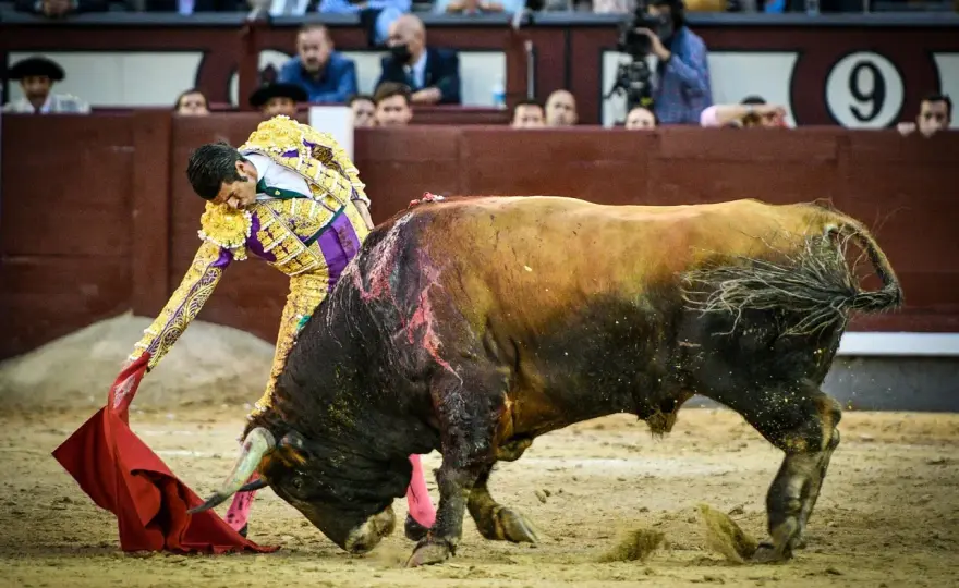 Emilio de Justo en Las Ventas - ¿Por qué es tan especial?
