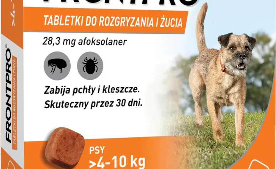 Tabletki na kleszcze dla psa: Które wybrać? Bezpieczny przewodnik