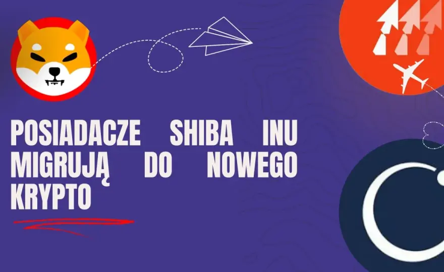 Posiadacze shiba inu migrują do nowego krypto ICO, aby polować na tokeny z 1000% ROI