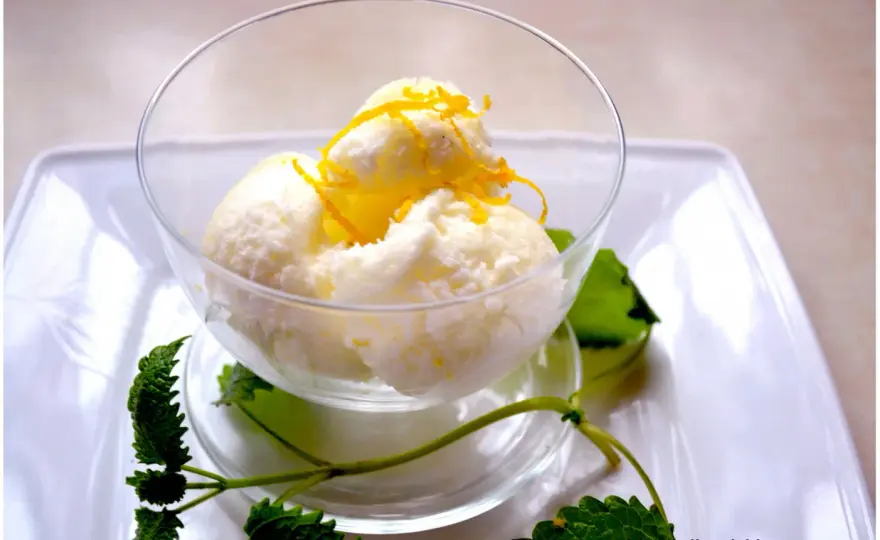 Sorbet cytrynowy bez maszynki: Sekret gładkiej konsystencji!