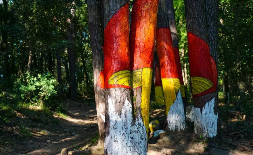 Ruta del Bosque Pintado de Poblet - Arte y Naturaleza en un Paseo Único